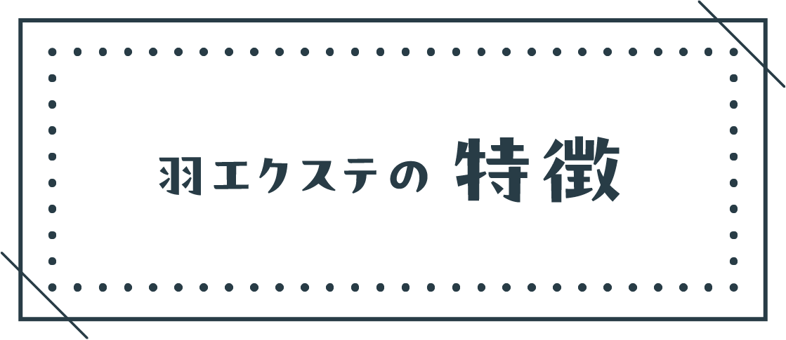 羽エクステの特徴