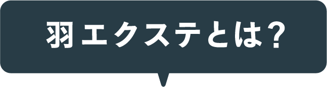 羽エクステとは?